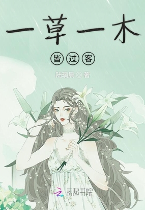 一草一木皆过客在线阅读