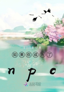 假如你成为了npc
