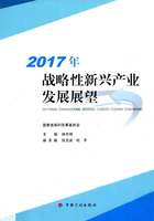 2017年战略性新兴产业发展展望在线阅读