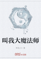 叫我大魔法师在线阅读