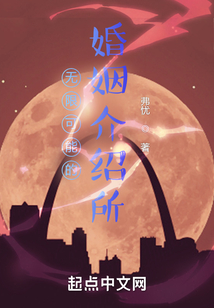 无限可能的婚姻介绍所