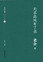 無名高地有了名（老舍作品集19）在線閱讀