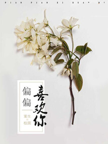 偏偏喜歡你