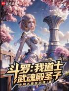 斗罗:我,道士,武魂殿圣子在线阅读