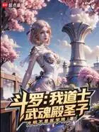 斗罗:我,道士,武魂殿圣子在线阅读