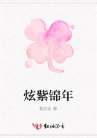 炫紫錦年在線(xiàn)閱讀