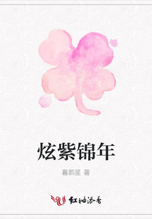 炫紫錦年