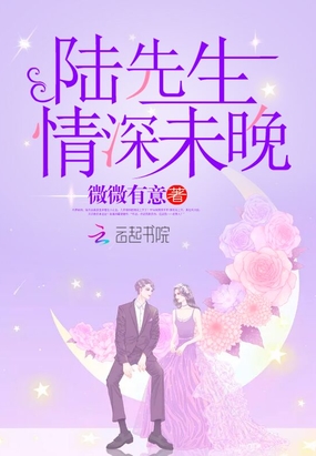 陆先生，情深未晚在线阅读
