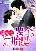 陸太太，要個二胎吧在線閱讀