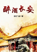 醉酒长安在线阅读
