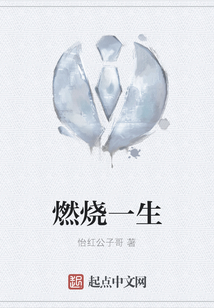 燃燒一生