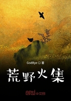 荒野火集在线阅读