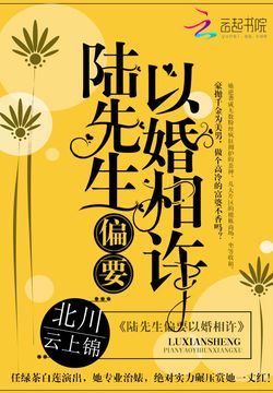 陆先生偏要以婚相许 封面