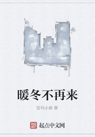 暖冬不再来在线阅读