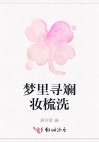 梦里寻斓妆梳洗在线阅读