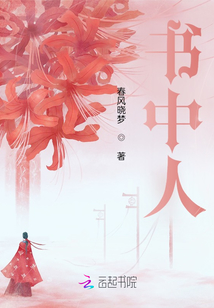 書中人