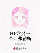 HP之另一个西弗勒斯