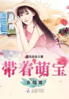 帶著萌寶去結(jié)婚在線閱讀