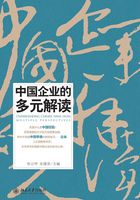 中國企業的多元解讀在線閱讀