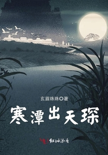 寒潭出天琛