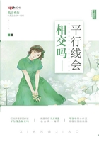 平行線會相交嗎在線閱讀