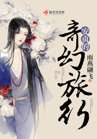 安貞的奇幻旅行在線閱讀