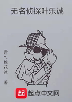 无名侦探叶乐诚