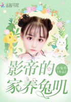 影帝的家养兔叽在线阅读