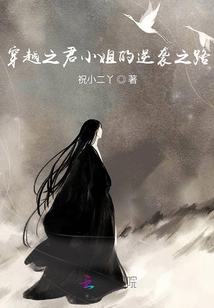穿越之君小姐的逆襲之路