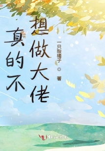 真的不想做大佬