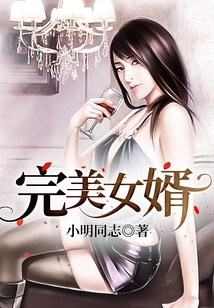 完美女婿