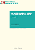 世界能源中国展望（2020）在线阅读