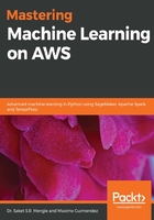 Mastering Machine Learning on AWS在线阅读