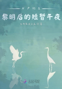HP衍生：黎明后的短暫午夜