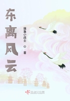 東離風云在線閱讀