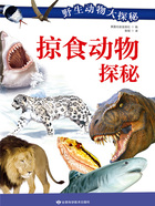 掠食动物探秘(野生动物大探秘)在线阅读