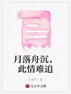 月落舟沉,此情难追在线阅读