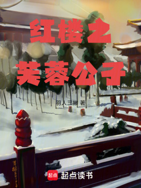红楼之芙蓉公子在线阅读