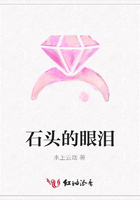 石頭的眼淚在線閱讀