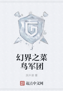 幻界之菜鳥軍團