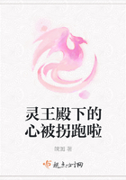 靈王殿下的心被拐跑啦在線閱讀