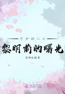 守護甜心之暗世抉擇