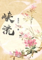 峡流在线阅读