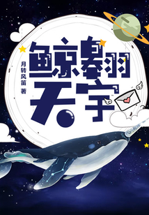 鲸翱天宇