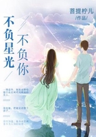 不负星光不负你在线阅读