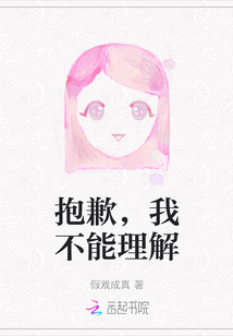 抱歉，我不能理解