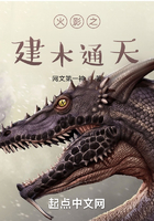 火影之建木通天在線閱讀