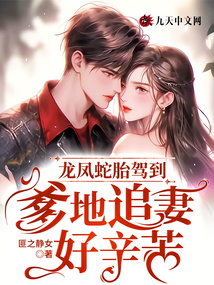 龍鳳蛇胎駕到:爹地追妻好辛苦