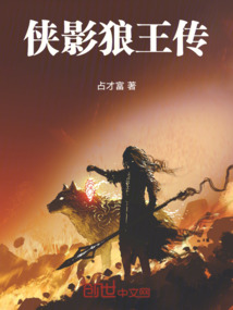 侠影狼王传