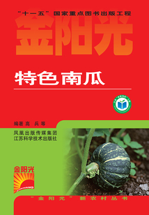 特色南瓜